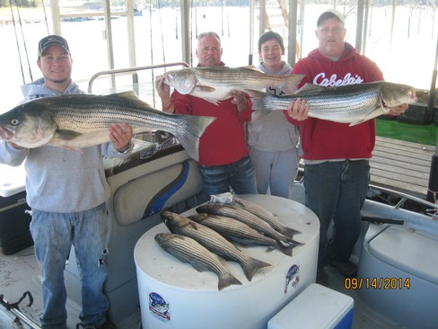 Nice Striped Bass